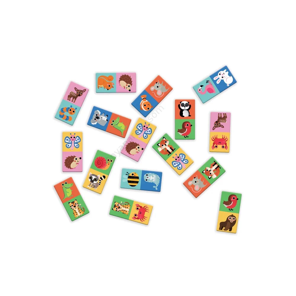 Cărțile jocului de societate Cadomino