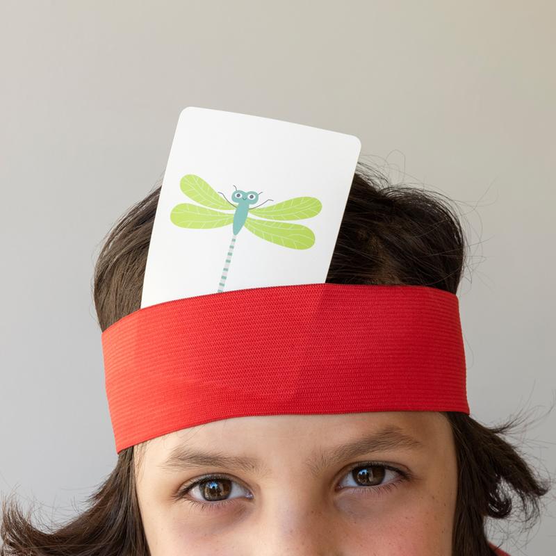 Instrucțiuni de utilizare jocului de societate Ce sunt eu?